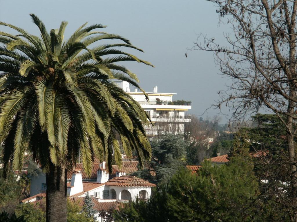 La Cigale Perpiñán